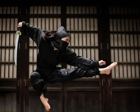 LwedNinja